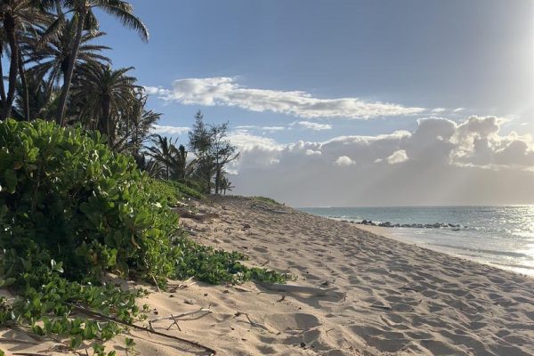 maui beach maui beach